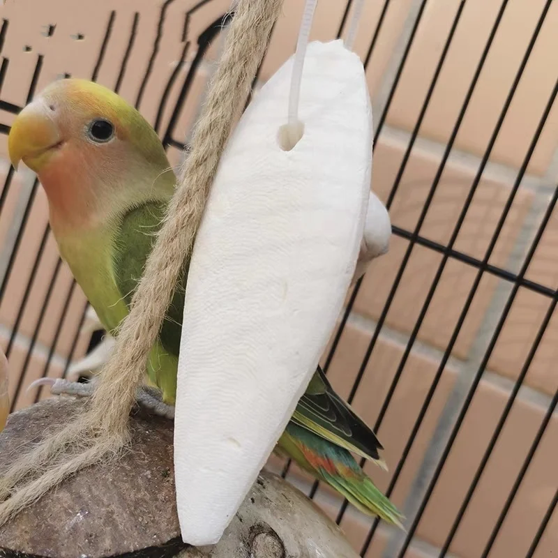 Dried Cuttlebone For Birds High Quality Cuttlefish Bone For Animal Feed Natural White Cuttlefish Bone