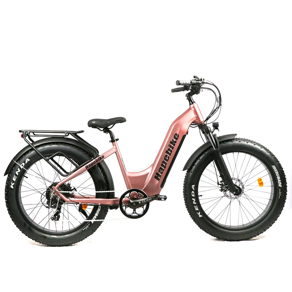 48V 20ah lithium battery with dual 500w rear hub motor e bikes electric bicycle   e-bicycle e-bike electric bicycle