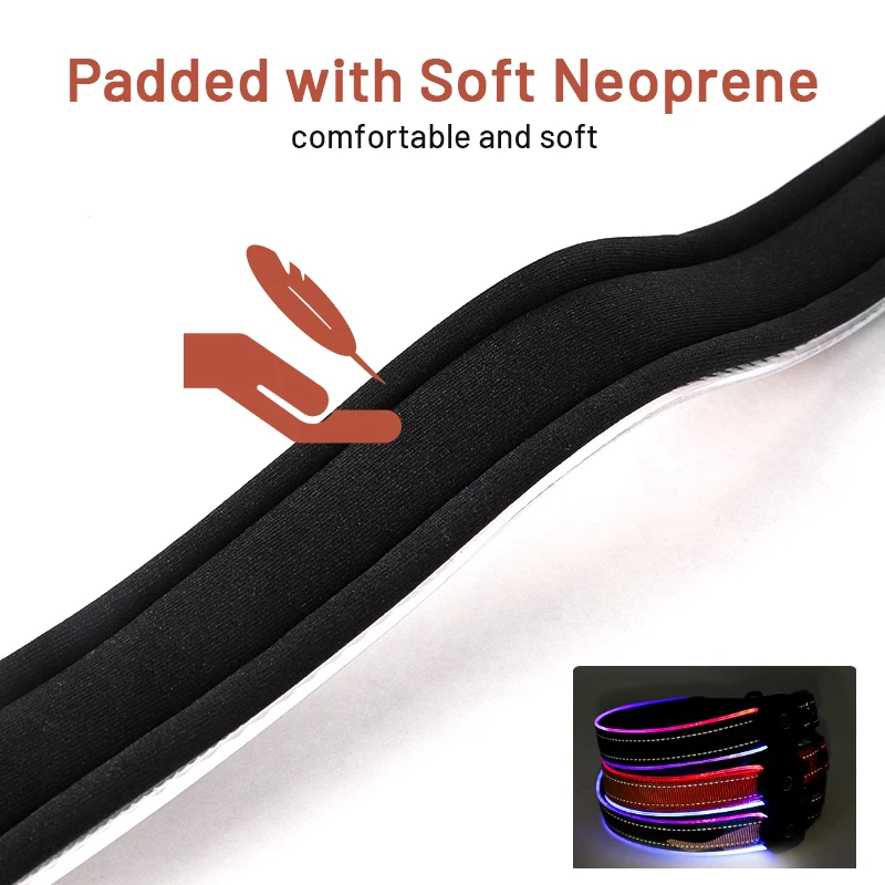 2024 Light Up Led Dog Collar Usb Rechargeable Custom Design Waterproof Night Safety Flashing Glow In The Dark Light Dog Collar