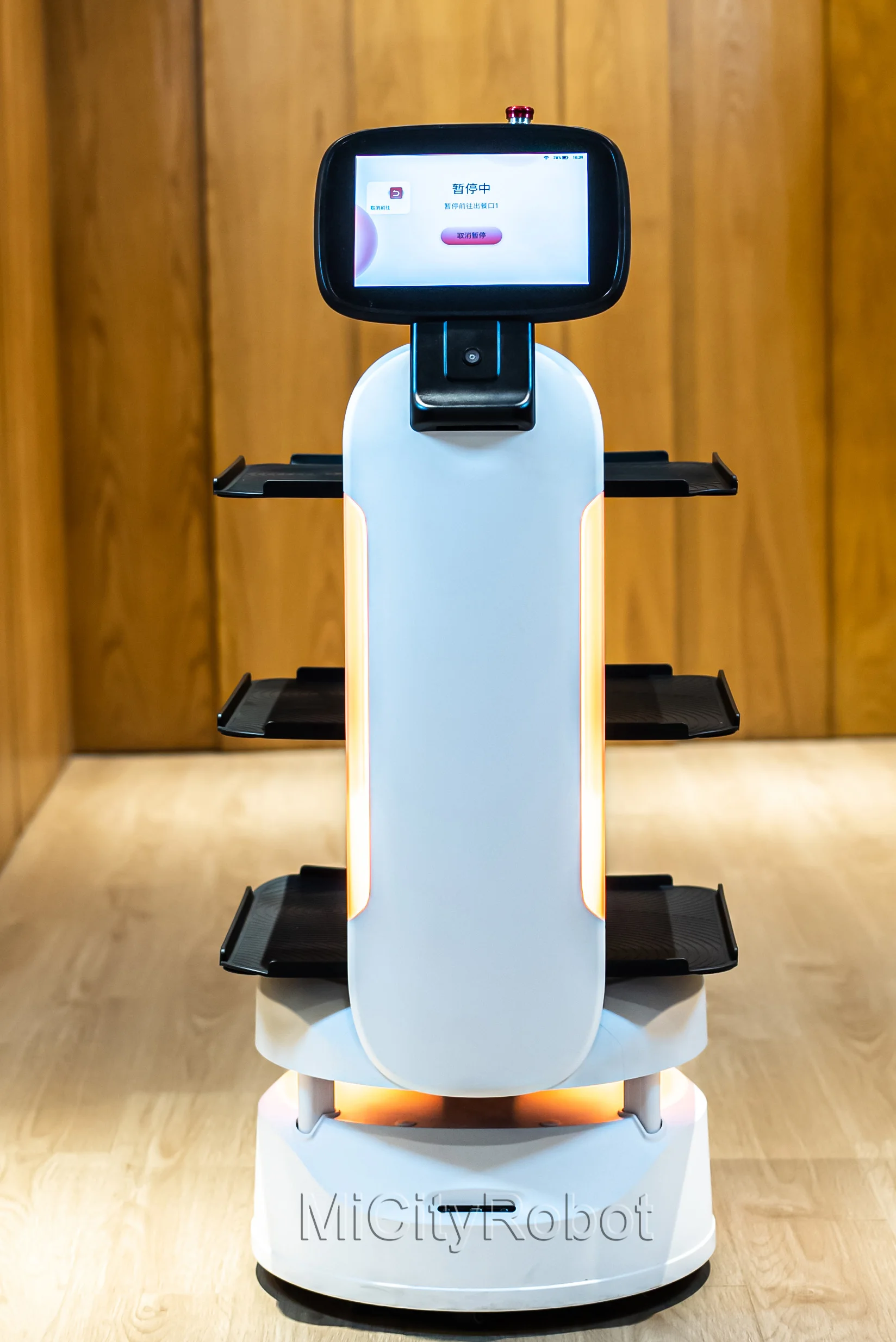 Robot Server for Hotel Restaurant Dish Recycle Service Restaurant Trolley Food Delivery Robot Food Delivery Service Robot