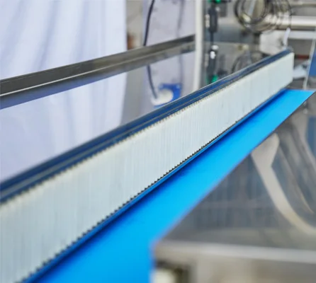 Automatic weighing labeling fruit and Vegetable pillow Packaging Machine