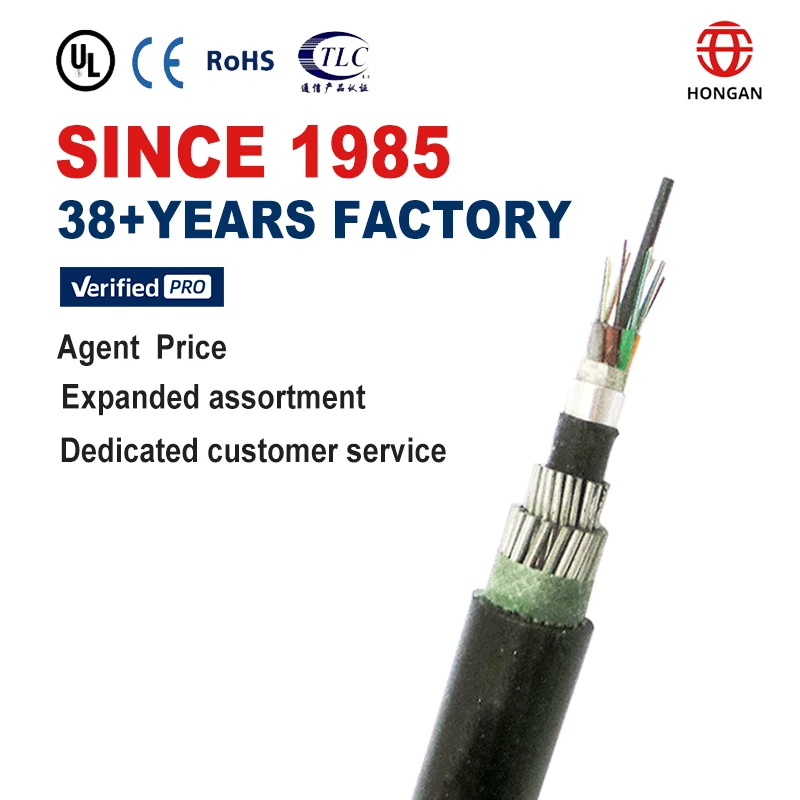 Hongan Wholesale 120 core fiber optic cable outdoor g652D GYTA333 Steel Wire Armored Optical Cable For outdoor
