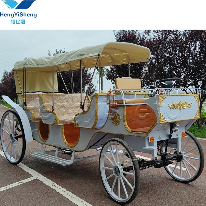 Electric Luxury three-row  Sightseeing Drawn Horse Carriage/Special Transportation  tourism Horse  Carriage