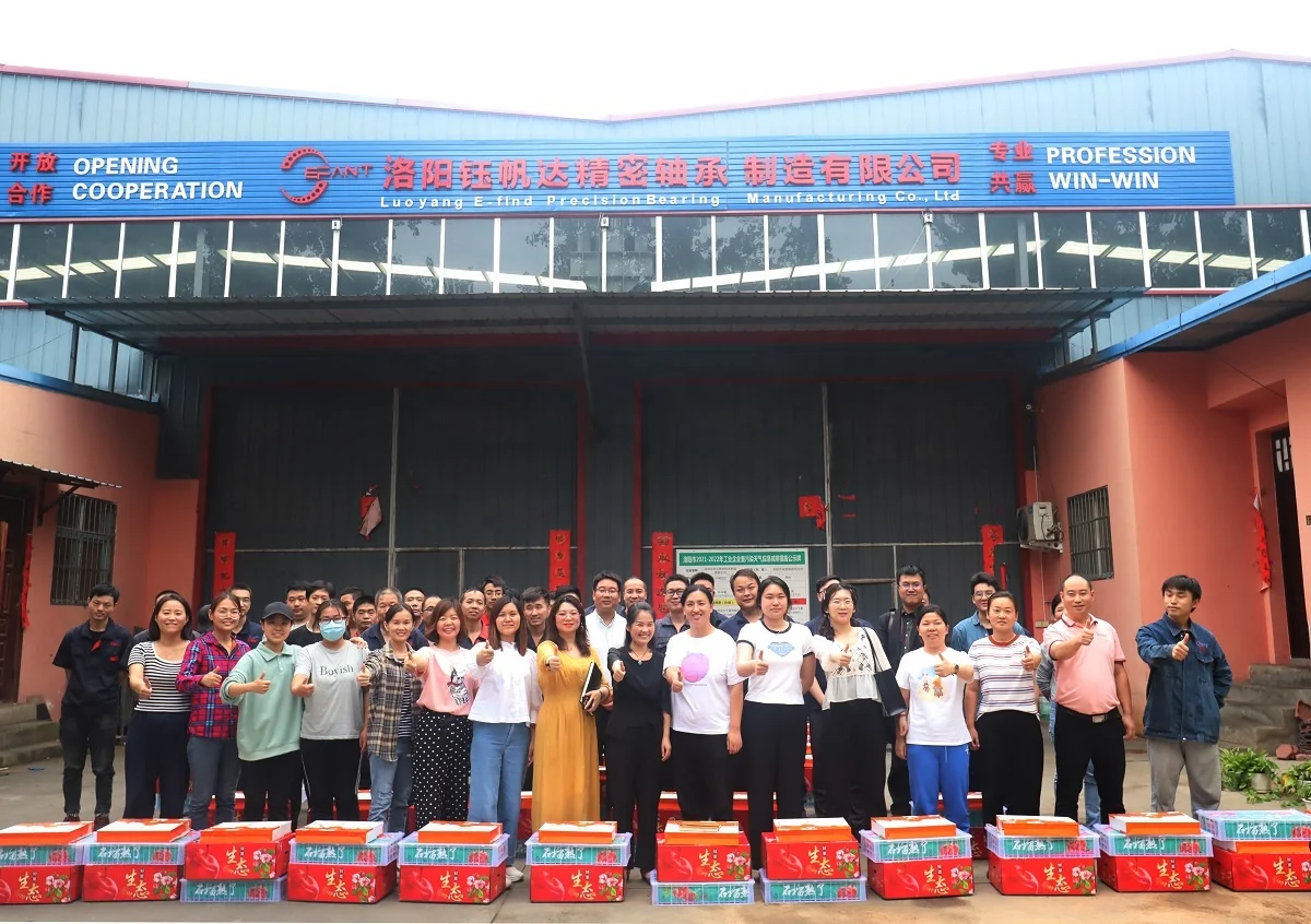 Luoyang EFANT RU Series RU297X RU297G Cross Roller Bearing In Stock Cylindrical Roller Bearing