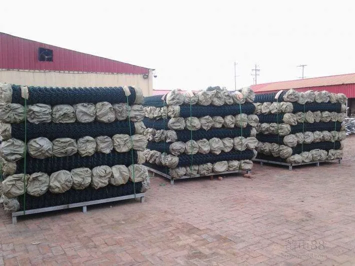 PVC coated 50*50mm  wire mesh fencing chain link fence green and galvanized chain link fence