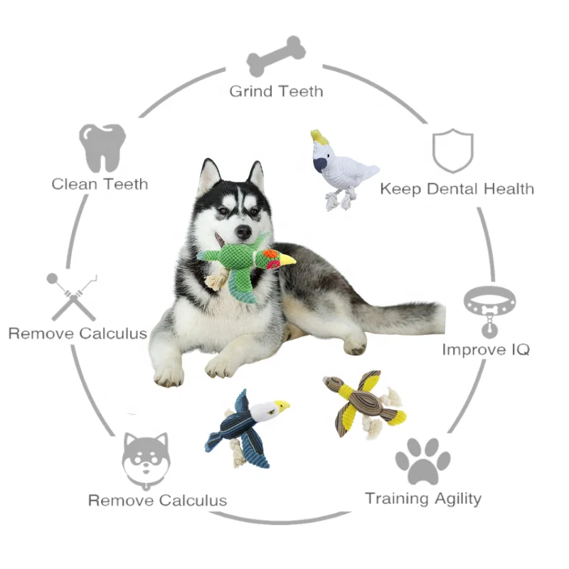 2022 Parrot Goose Pigeon Shape Pet Plush Toy Squeaky Interactive Stuffed Dog Toys