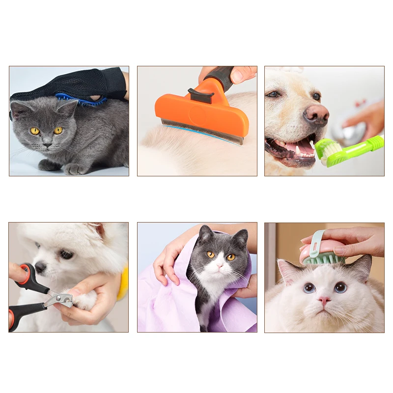 Factory Direct Low MOQ Durable High Quality Hot, Sale Stainless Steel Pet Grooming Shears Hair Cutting Trimming Scissors/