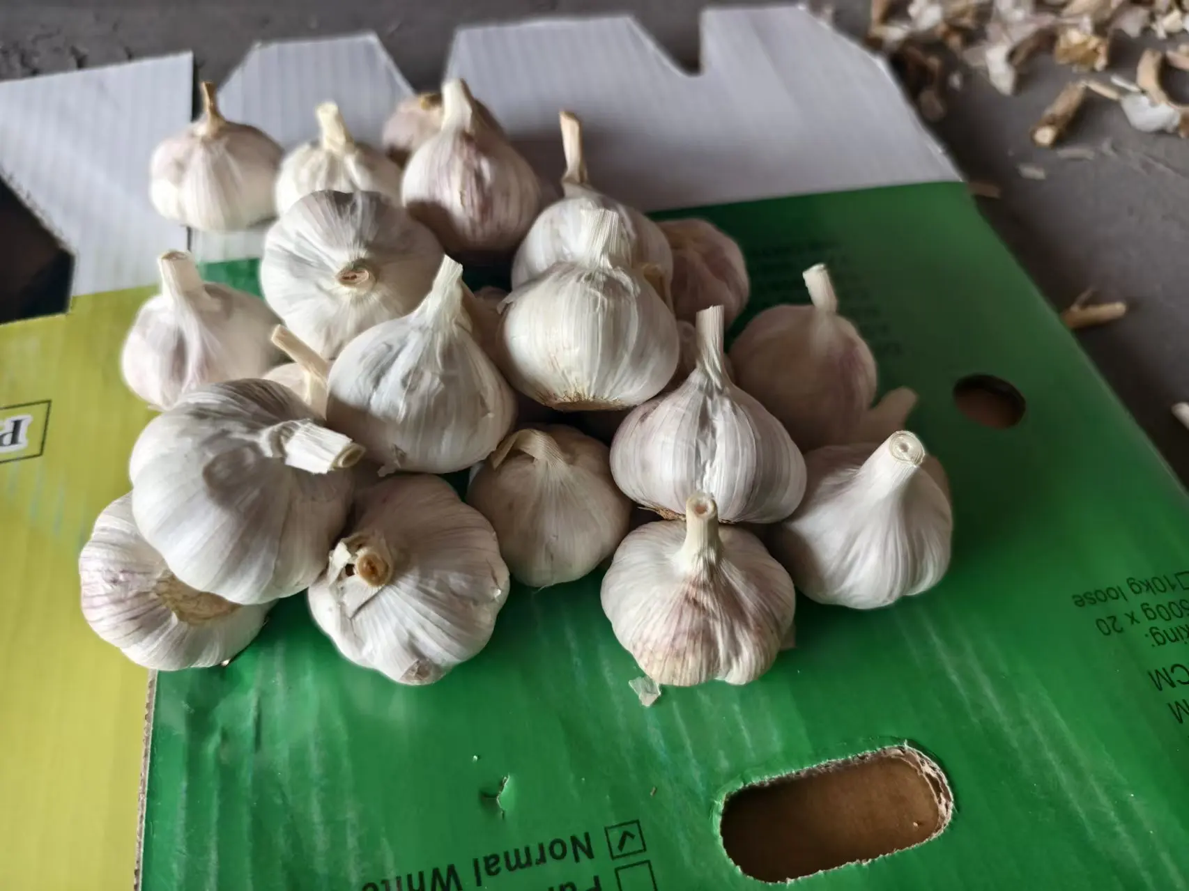 High quality 3.5cm 4.5cm 5.0cm 5.5cm 6.0cm Pure White Shandong Belgium nature grown garlic for sale
