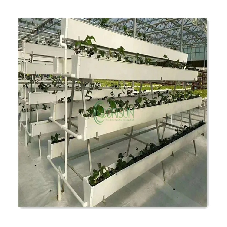 Indoor outdoor agricultural planting hydroponic strawberry gutter growing NFT channel for sale