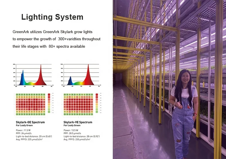 Sprinkler System For Farm Rockwool Blanket Grow Box Led Indoor Hydroponic System For Commercial Lettuce Planting