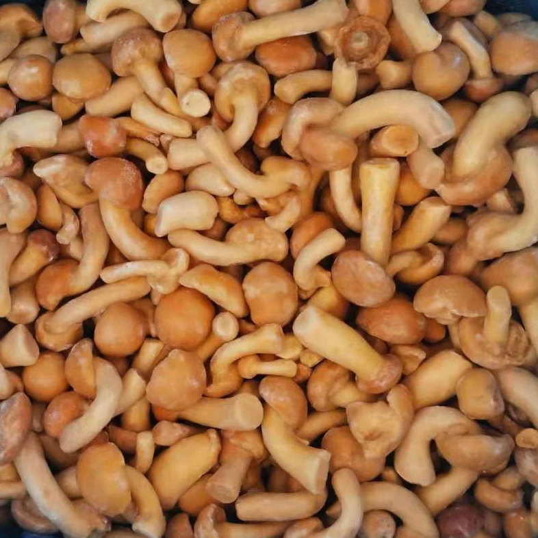 Премиум замороженный гриб Shiitake IQF