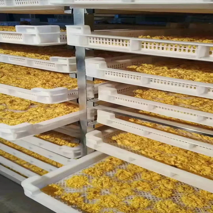 Factory wholesale high quality and low price  plastic drying tray for dehydration vegetables