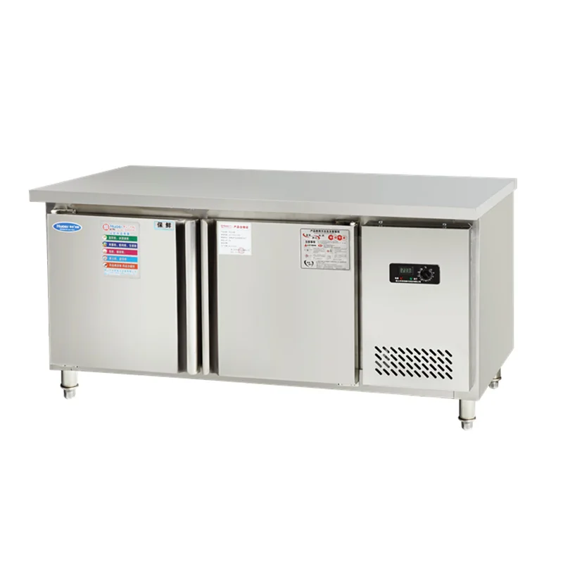 Salmon/beef/Sandwich kitchen freezers stainless steel refrigeration equipment vertical freezer