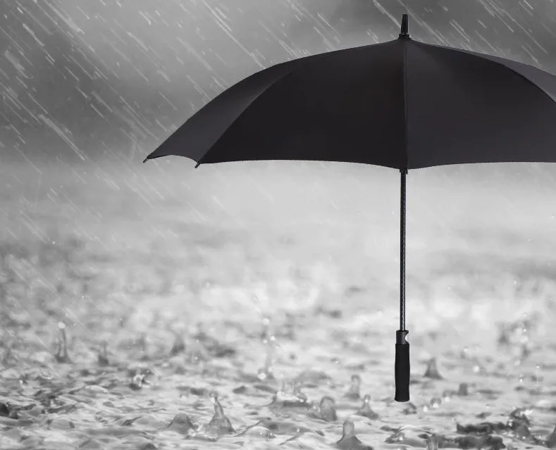 OEM Automatic Wholesale Classic Style Golf Umbrella 27/30/34 Inches Fabric Plastic Straight Handle Folding Business Travel Hand