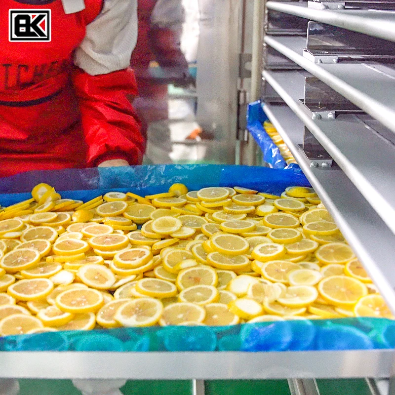 Factory Price high working efficiency ginseng china freeze dryer lyophilized instant coffee freeze dried machine