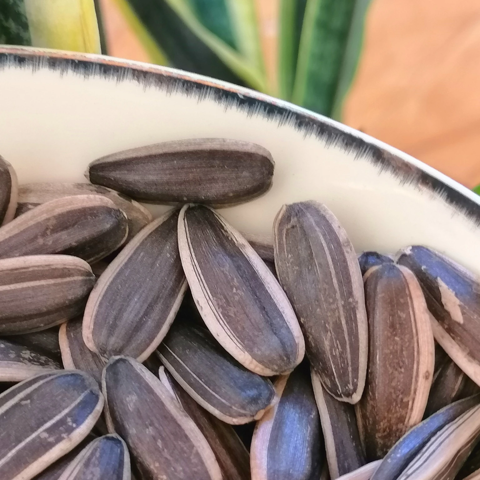  Высокий Китайский внутренний монголийский оригинальный вкус семян подсолнечника S363 361 601 5009 красные даты семена ореха