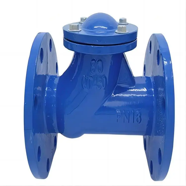 Ductile Iron Flange Water Rubber Ball Check Valve