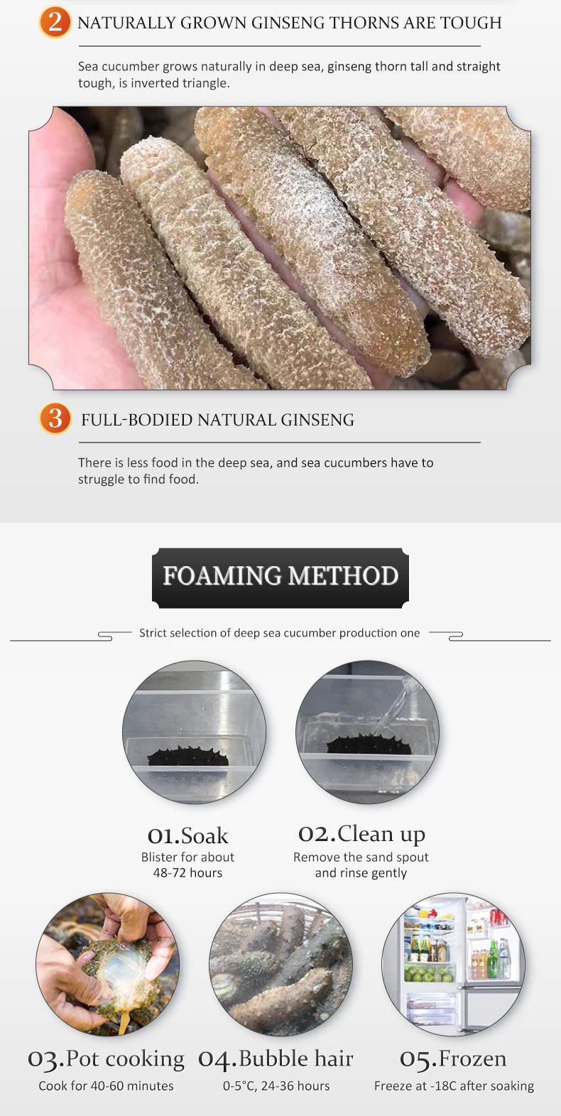 dried sea cucumber