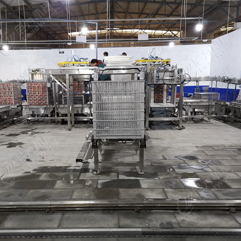 Leadworld Cleaning and air drying assembly line for semi-finished Prefabricated vegetable processing production line