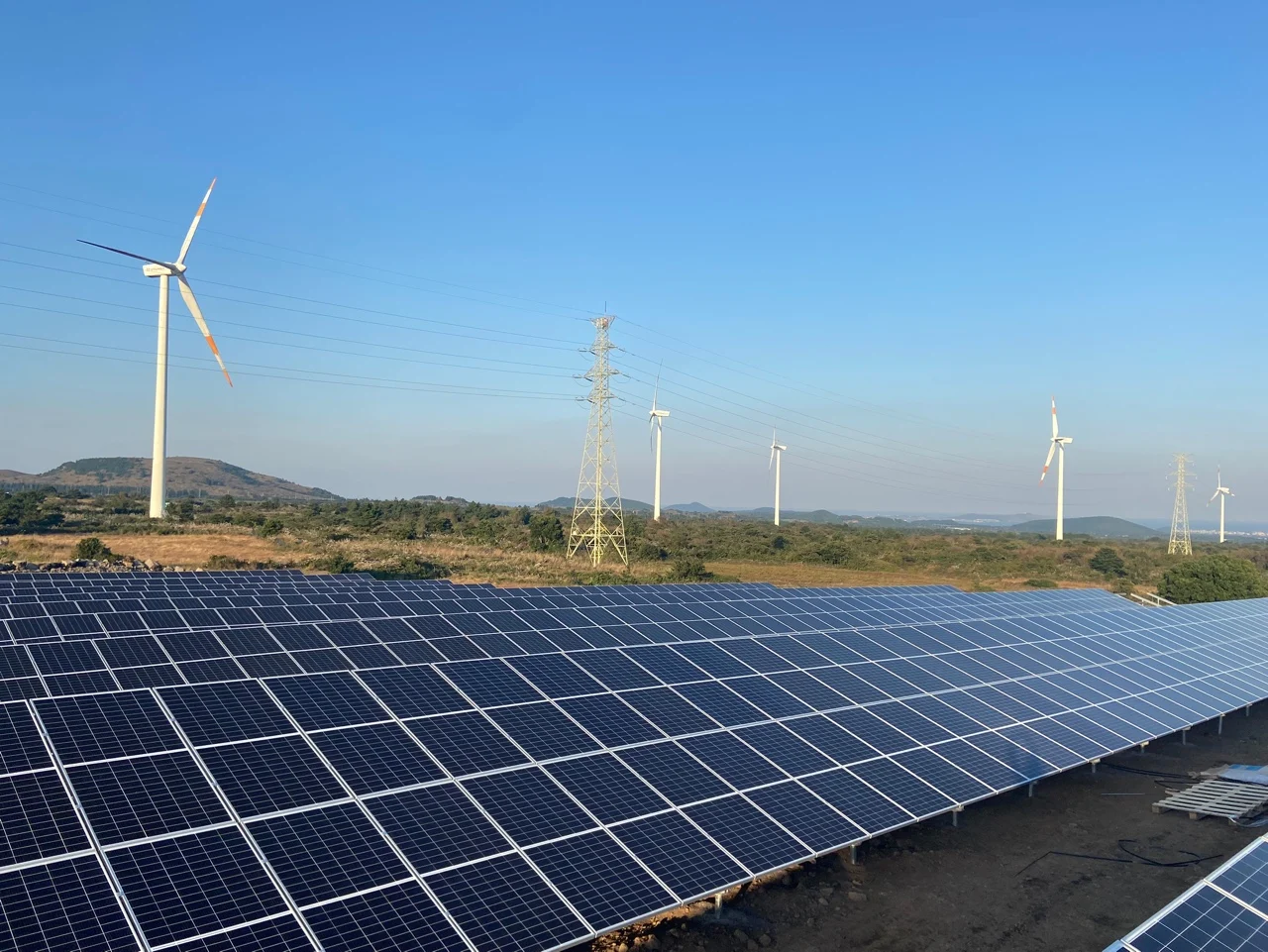 TW soler panel P-type Half-cell Monofacial Module 655w 660w 665w 670w 675 solar panel 550w manufacturers in china