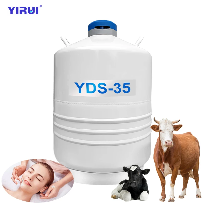 tank liquid nitrogen container TST-YDS-35 Liquid nitrogen biological container
