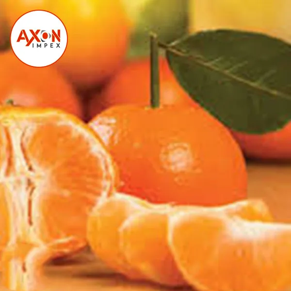 
New Year 2020 Special Offer - Mandarin Kinnow Citrus 