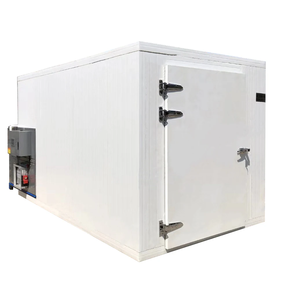 
Industrial and Commercial Tunnel Electric Hot Air Freeze Vacuum Dryer For Fruits And Vegetables 