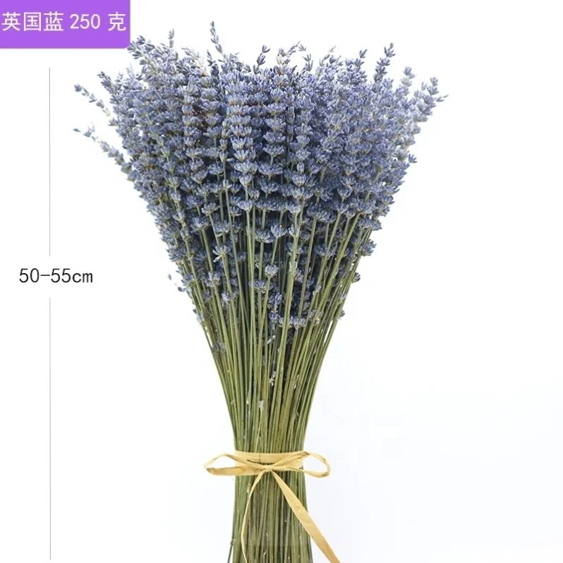 Wholesale  Dried lavender bunch preserved lavender for home decoration