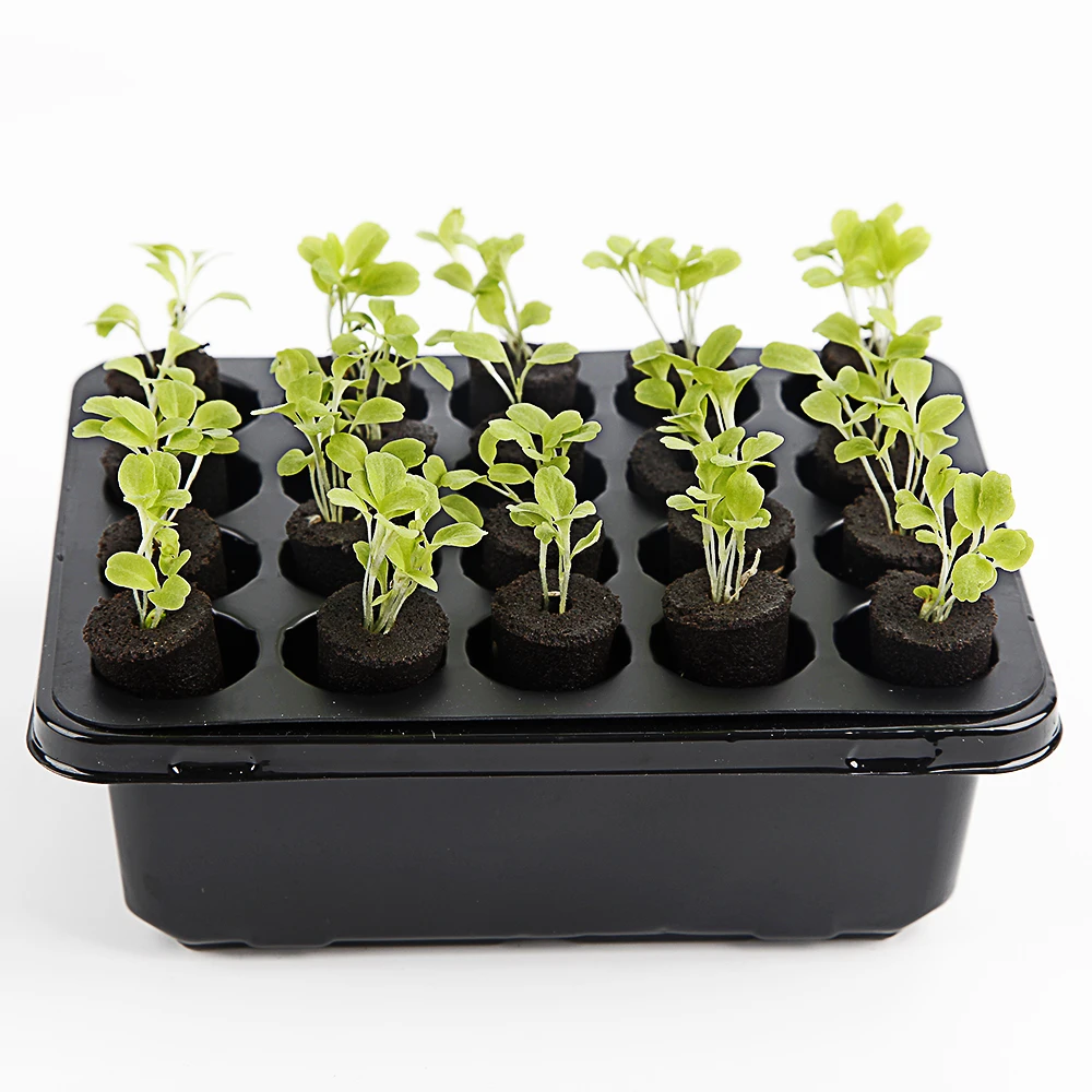 20 hole three-layer seedling pot with cover suitable for soilless hydroponic planting substrate