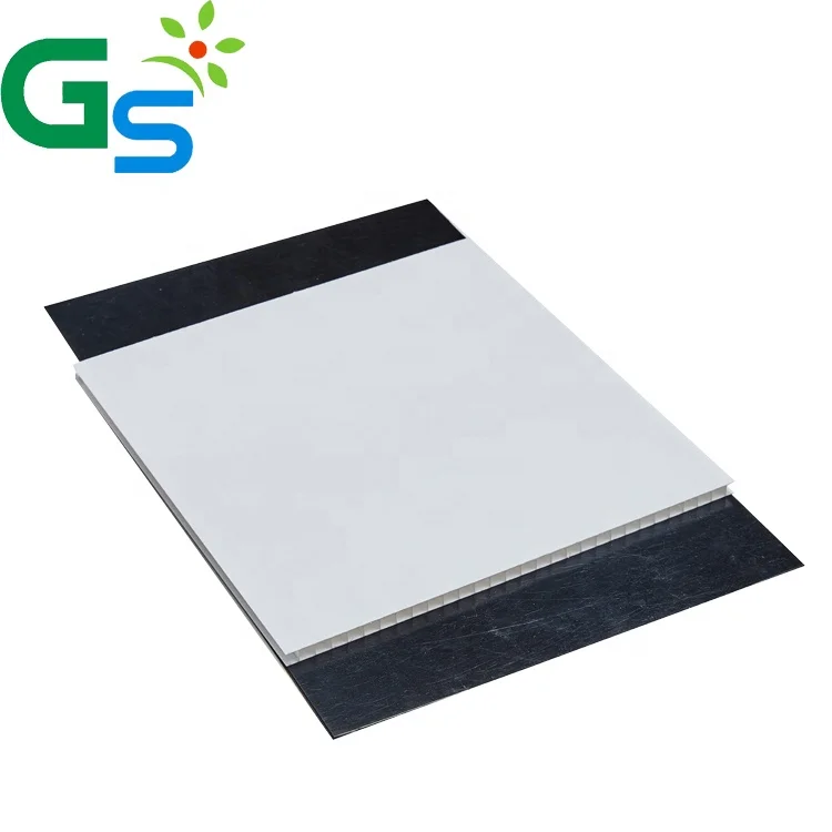 Polycarbonate Sheet Material PC polycarbonate  Twinwall Hollow Sheet For Carport Skylight Greenhouse