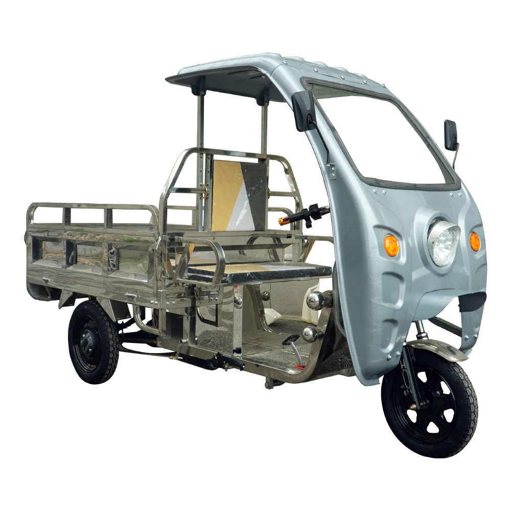 Stainless Steel Frame Electric Cargo Tricycle 3 Wheel E Dump Truck For Maldives Accessories Available