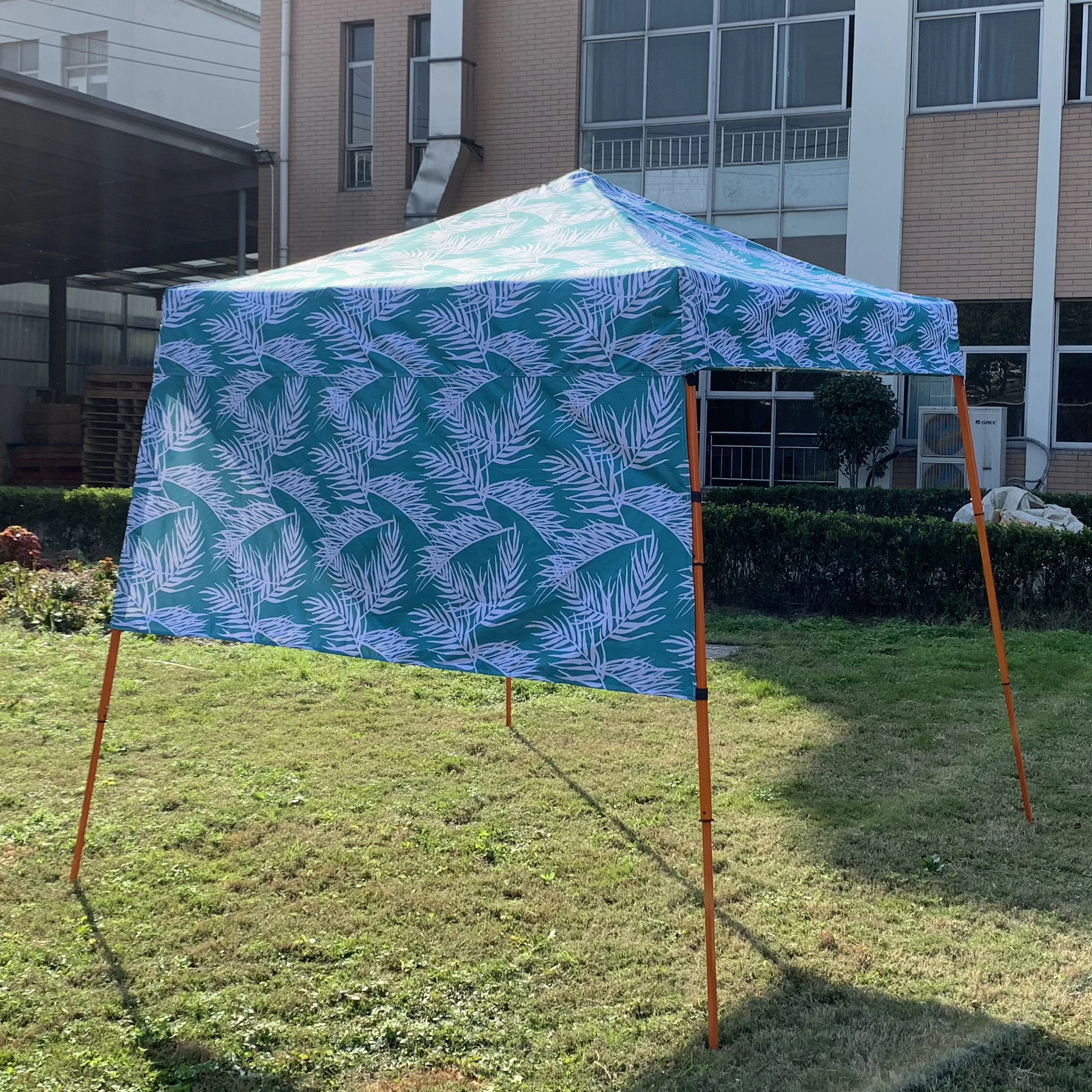 Canopy Pop up Canopy Easy up