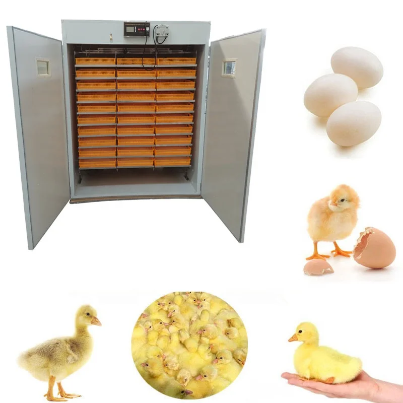 Mini Automatic Solar Incubator Eggs Incubator Machine