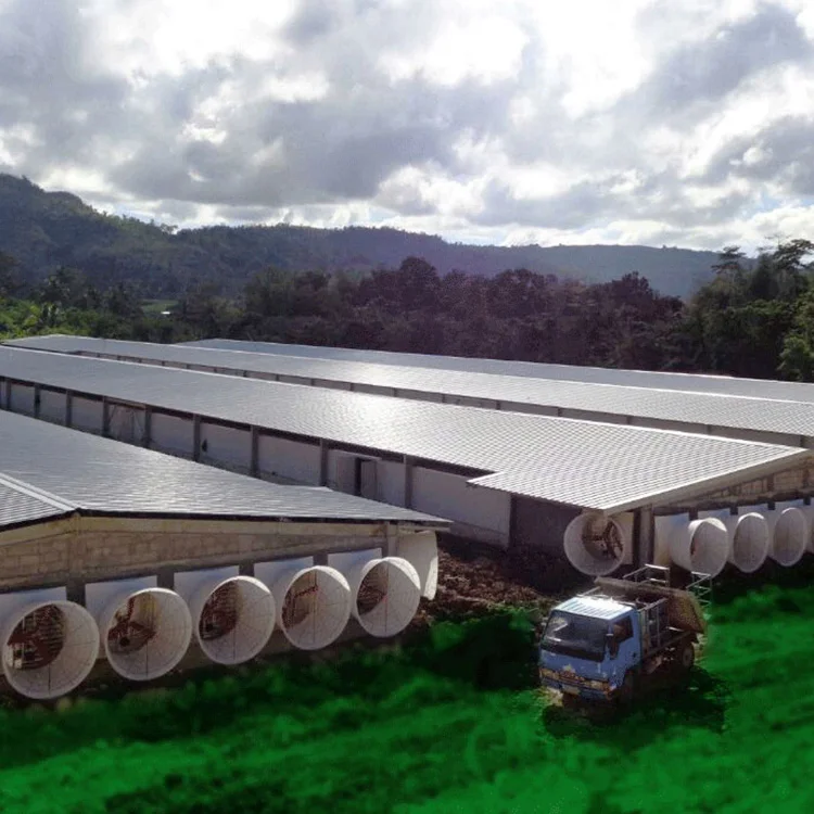 2022 new desgin free range steel structure chicken house Shed Poultry Farm