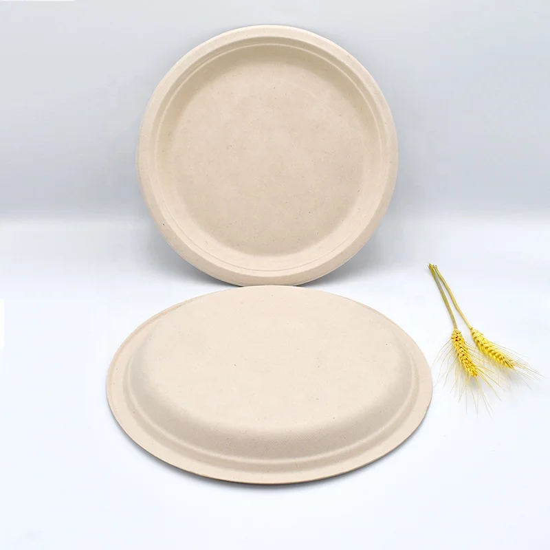 Biodegradable plates sell off disposable bagasse food containers100% compostable sugarcane bagasse food dishes for dinner