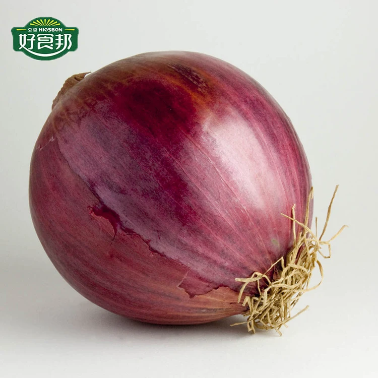 Hot Selling New Crop Wholesale Red Yellow White Green Skin Crop Peeled Purple Organic Fresh Onion Price From Factory Supplier
