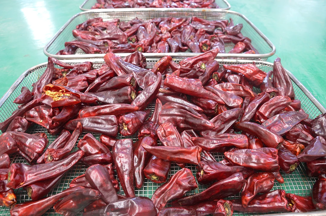 
Vegetable Dryer Machine Fruit Drying Oven Fruits Dryer Machine 