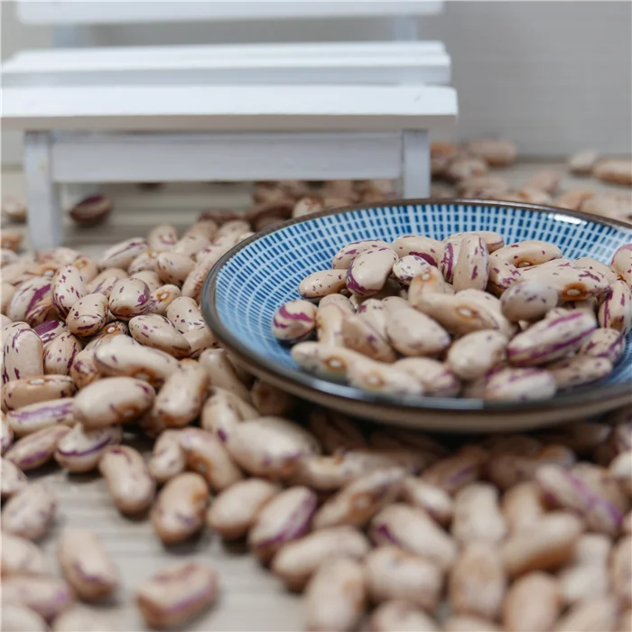 New Crop LSKB Long Shape Organic Dried Pinto Light Speckled Kidney Beans