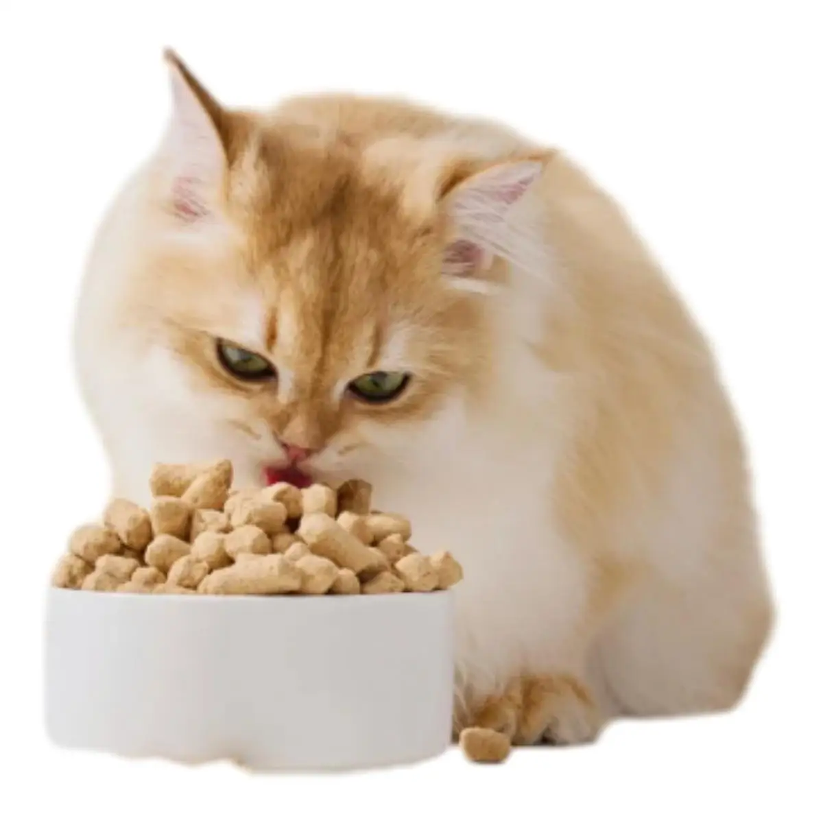 Лучшее качество дешевый корм для домашних животных пробиотики содержание белка 18% сердца взрослых кошек со вкусом курицы