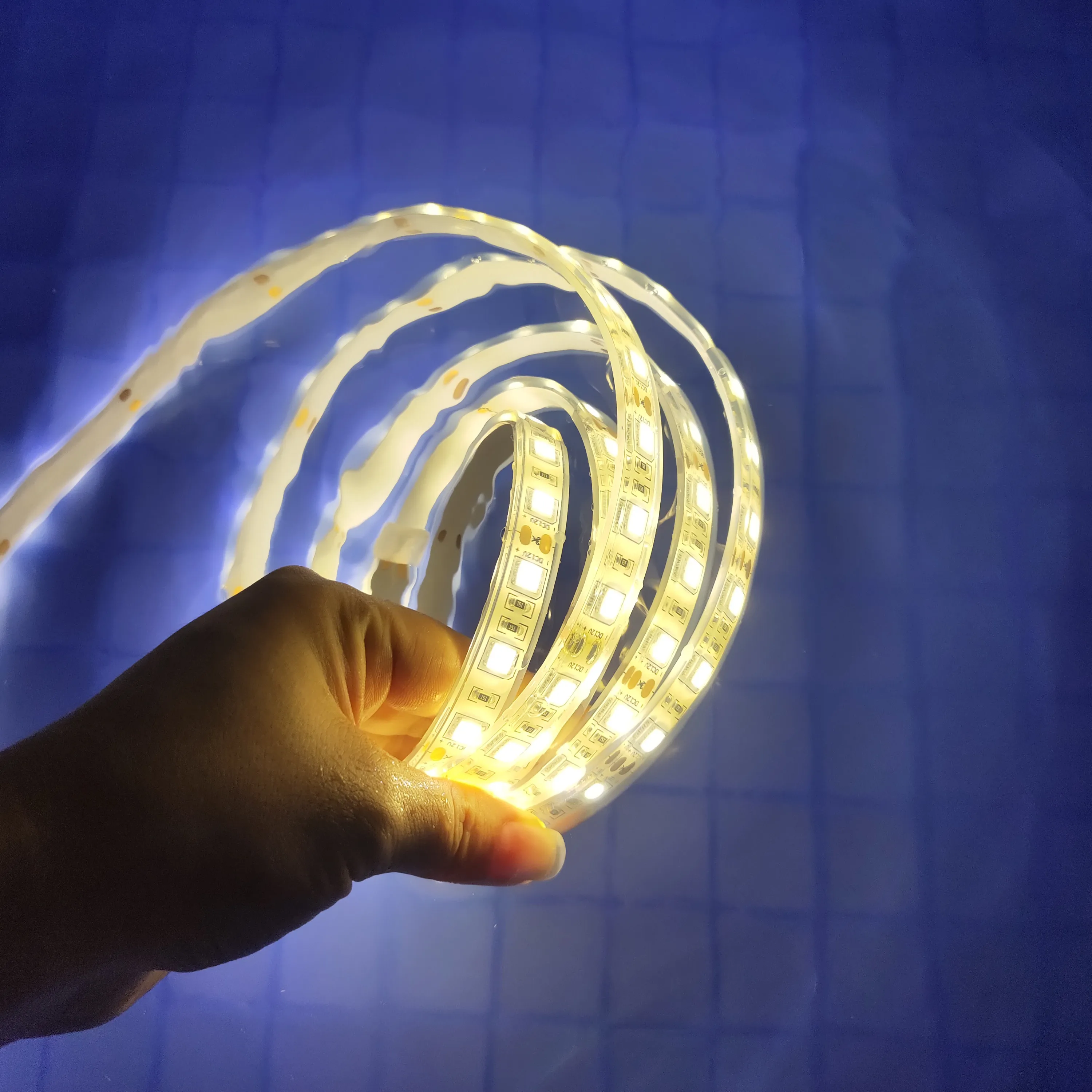 Silicon Glue Waterproof Strip IP68 Underwater strip light Swimming pool led lights