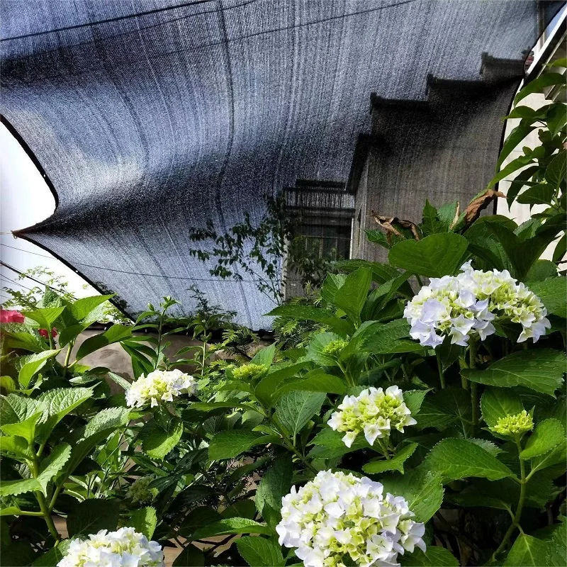 Outdoor leisure garden terrace pool shade polyethylene material high quality shade net shade sail