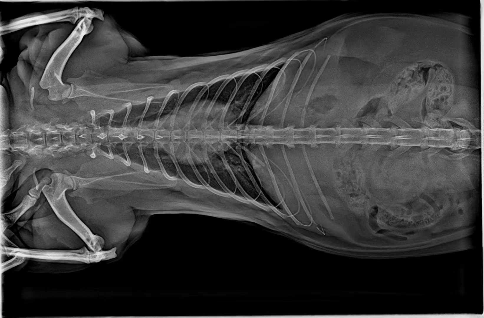 Медицинское оборудование стоматологический рентгеновский аппарат системы безопасности производство цена