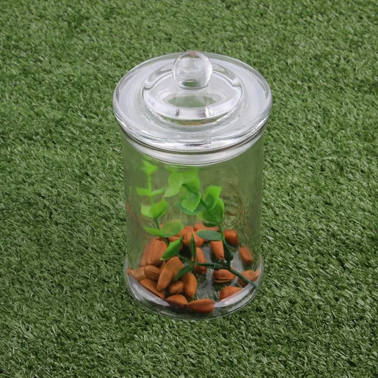 Glass Cookie Candy Penny Jar with Glass Lid Old Fashioned Clear Round Storage Container