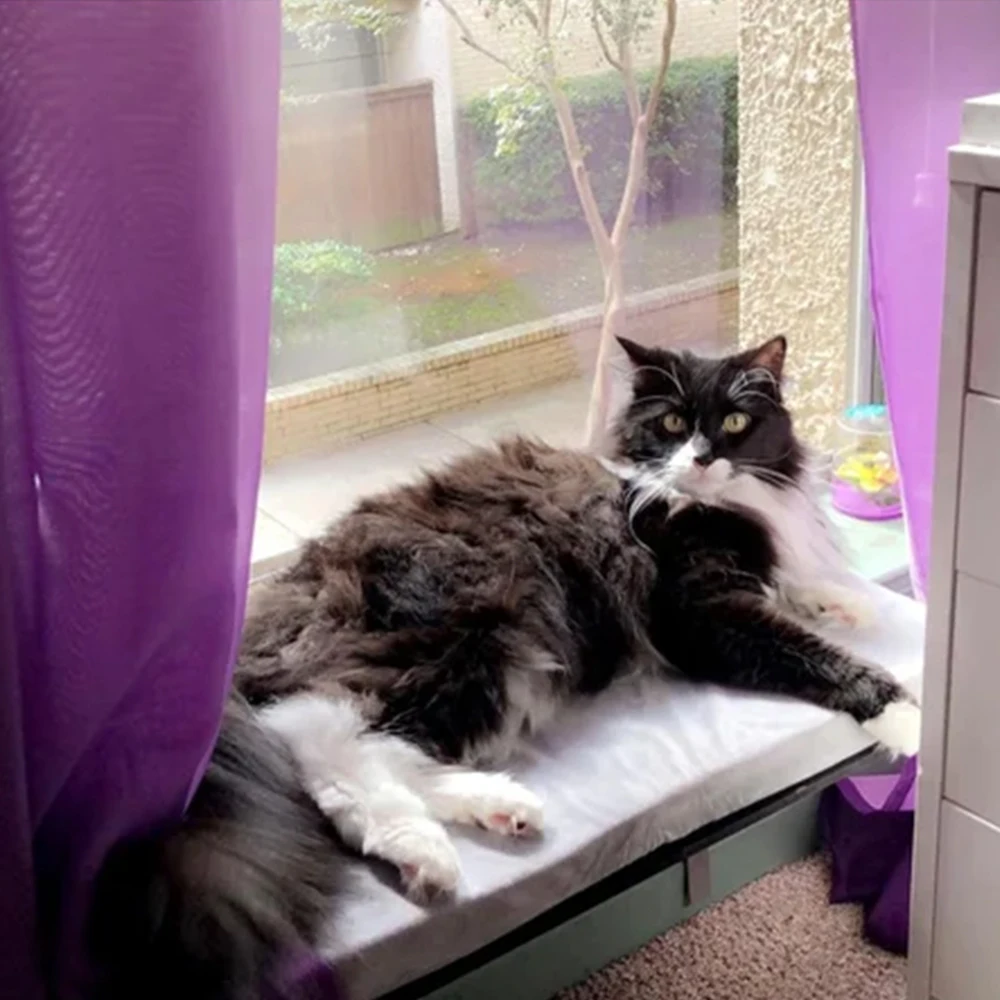 Cat Bed Modern Wall Mounted Window Cat Hammock Shelf Toy Bed Floating Pet Cat Bed