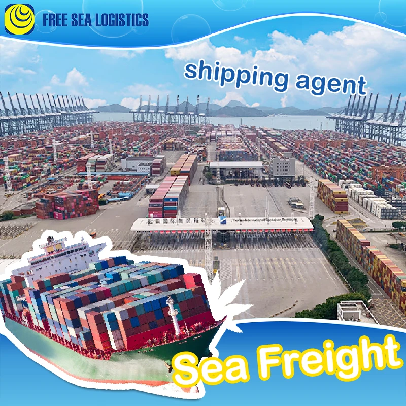China Best Professional and Safe Lithium Battery Freight Forwarder From Shenzhen Ningbo Shanghai Shipping Agent