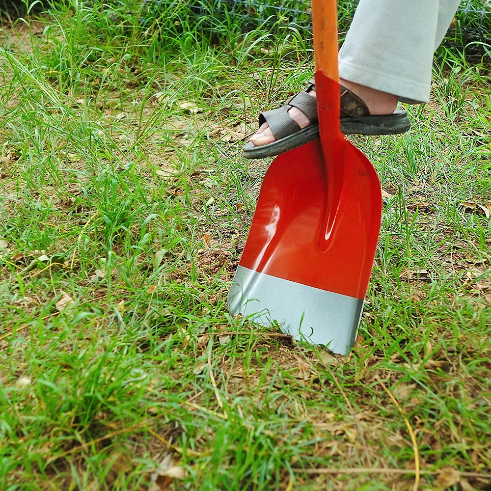 Hot big shovel Zhejiang red excavation double shovel point rake shovel
