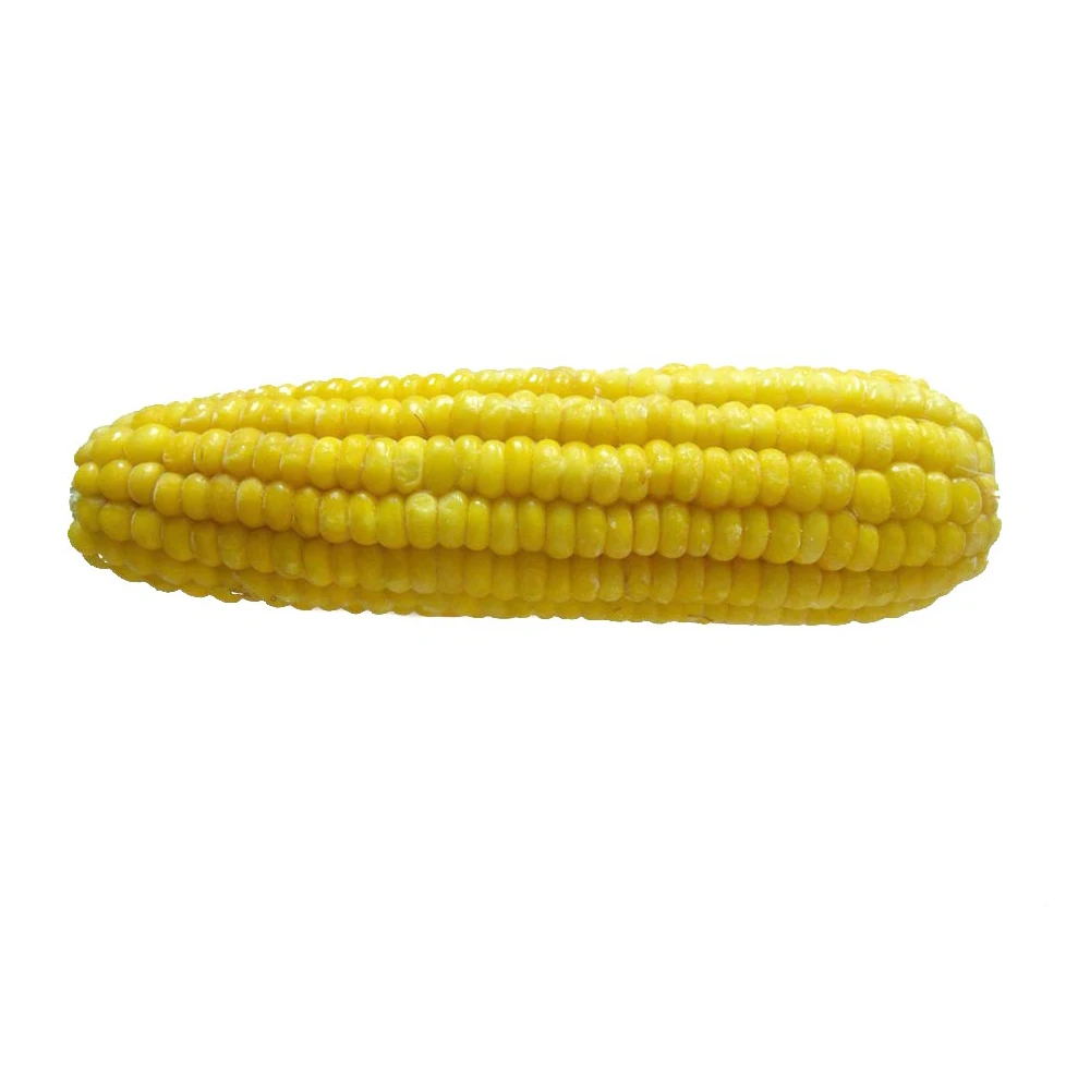
IQF Sweet Corn Yellow Frozen Corn Cob Non Cut In Pack 