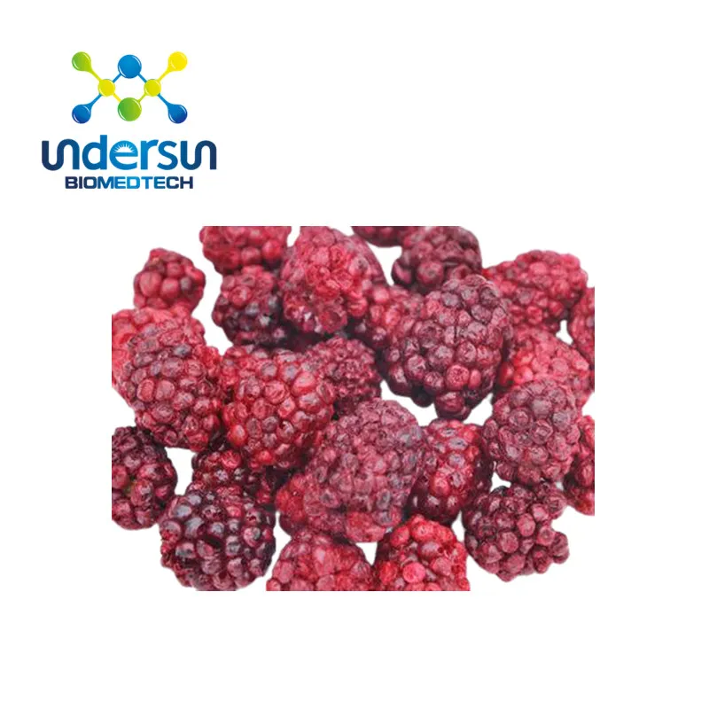 Hot Sell Freeze Dried Fruits And Vegetables Freeze Dried Blackberries