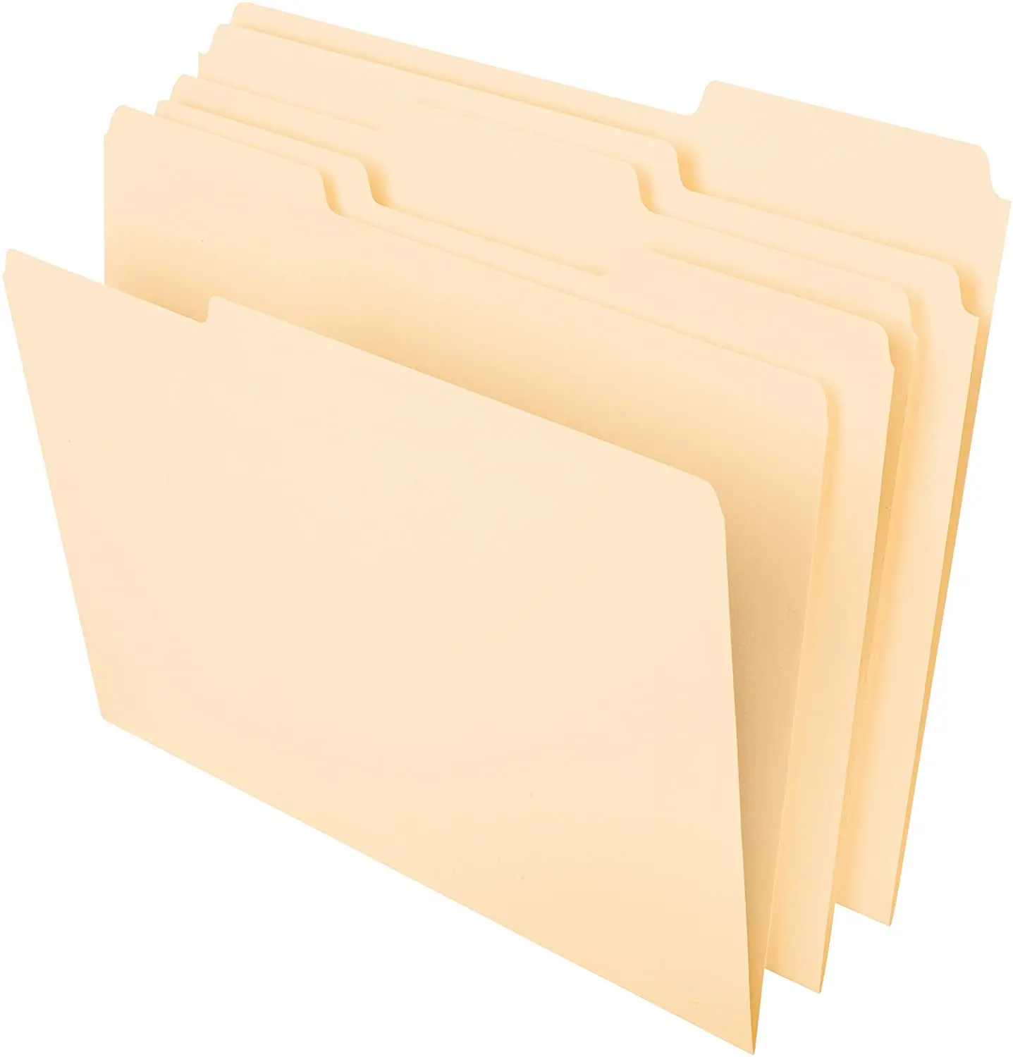 
Custom Logo Pendaflex File Folders, Letter Size, 8-1/2