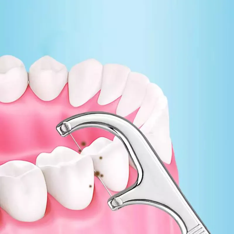 High Quality Stainless Steel Toothpick Dental Floss Reusable Flossing Holder Teeth Cleaning For Oral Teeth Cleaning Care